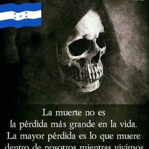 Meet your Posher, Albert